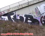 TLB