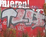TLB