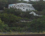 TLB