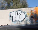 TLB
