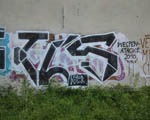 TLS