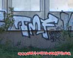 TMF
