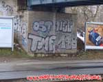 TMF