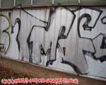 TMF