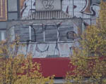 TMF