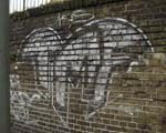 TMF