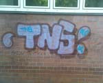 TNS