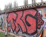 TRG