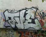 TVE