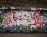 TYB (SCHNEBERG)