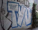 TYV