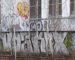 VDZ