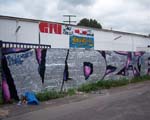 VDZ