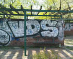 VDS