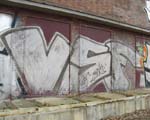 VSF