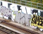 VSF