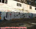 VSF (KREUZBERG)