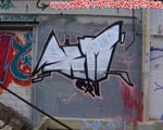 XM