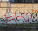 ZGM