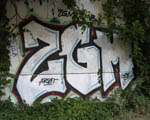 ZGM