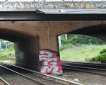 ZGM