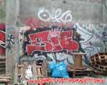 ZIB (MITTE)