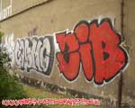 ZIB