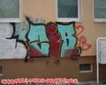 ZIB (MITTE)