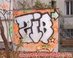 ZIB (MITTE)