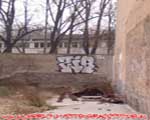 ZIB (MITTE)