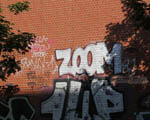 ZooM