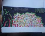 Fugy Black - Book