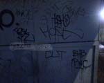 Tags