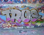 Writer