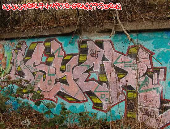 DSYER