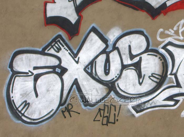 EXUS