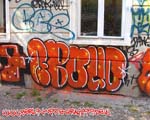 ABOUD