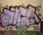 ALGE
