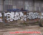 ALGE
