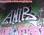 AMIR