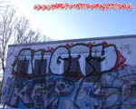 ANGRY (PANKOW)