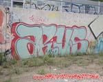 ARIS