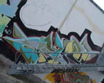 ARIS