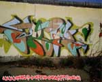 ARIS
