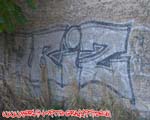 ARIS