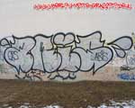 ARIS