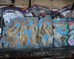 ARZD