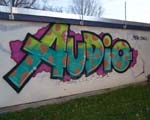 AUDIO