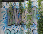 BAckER