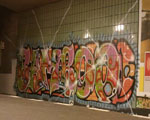 BAMBoo